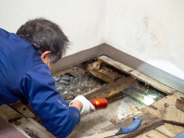 Best Crawl Space Mold Removal  in Church Hill, MD