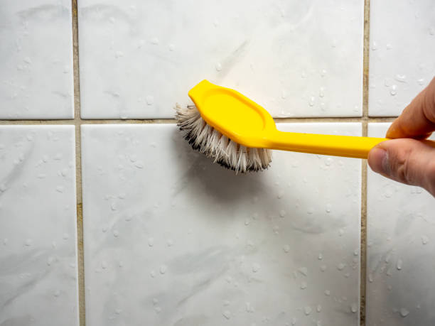 Best Best Mold Removal Companies  in Church Hill, MD