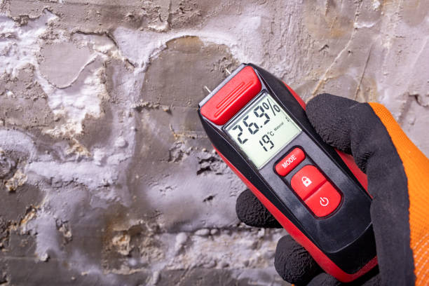 Best Certified Mold Removal  in Church Hill, MD