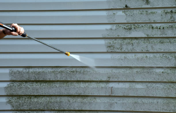 Best Attic Mold Removal  in Church Hill, MD