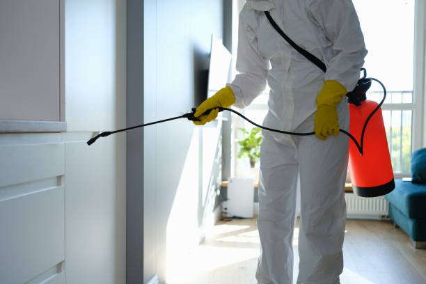 Best Toxic Mold Removal  in Church Hill, MD