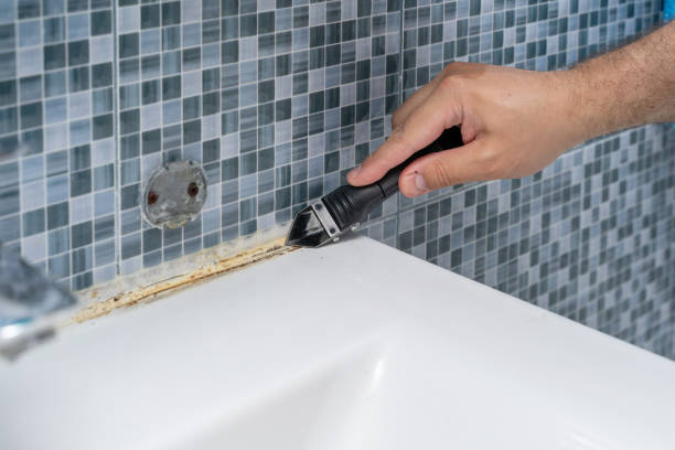 Office Mold Removal Services in Church Hill, MD