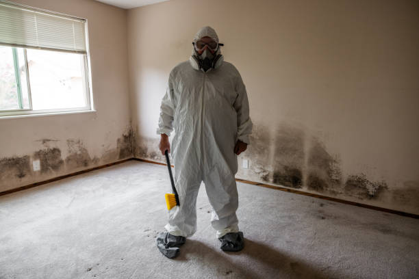 Best Commercial Mold Removal  in Church Hill, MD